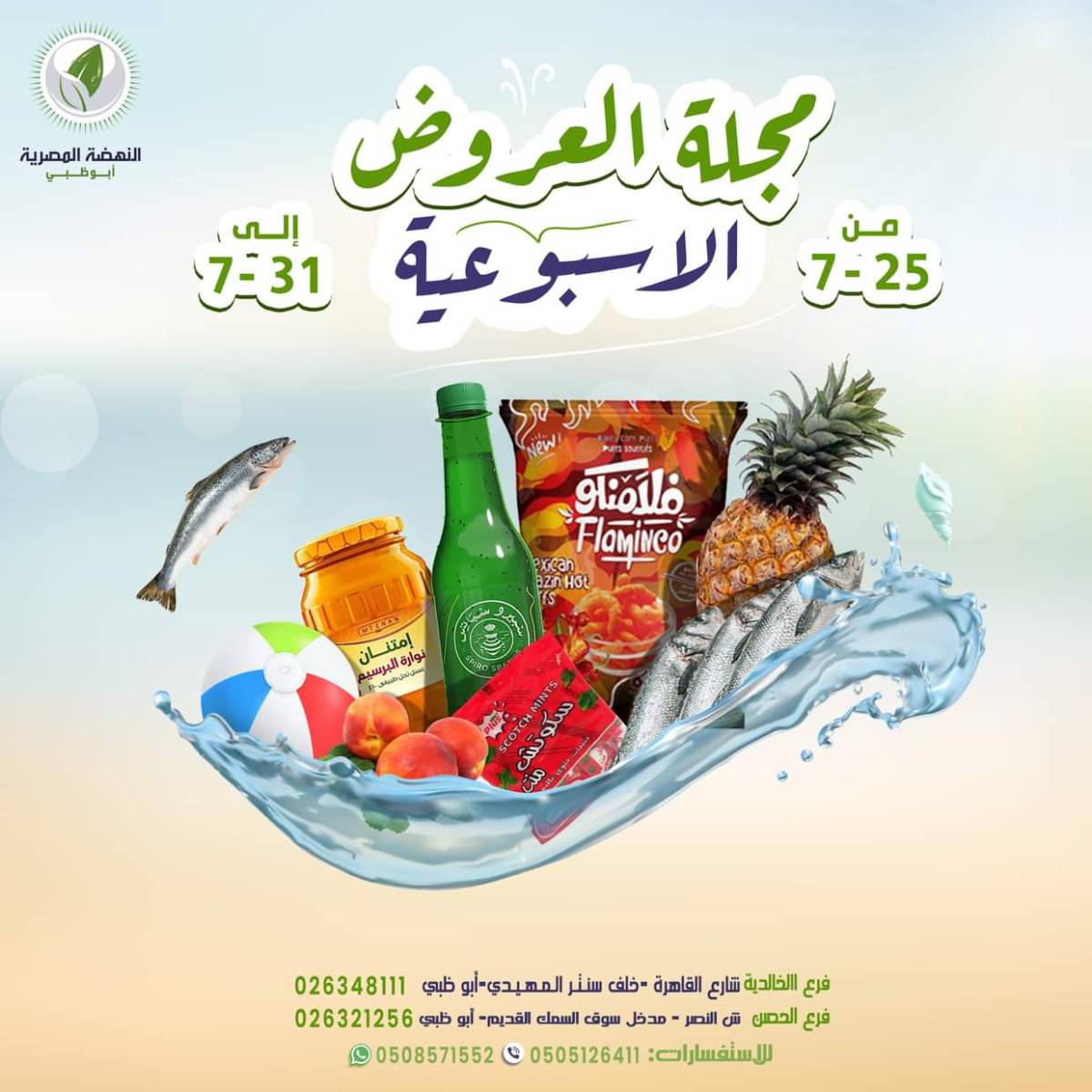 عروض النهضة المصرية أبوظبى من 25 حتى 31 يوليو 2025 العروض الأسبوعية