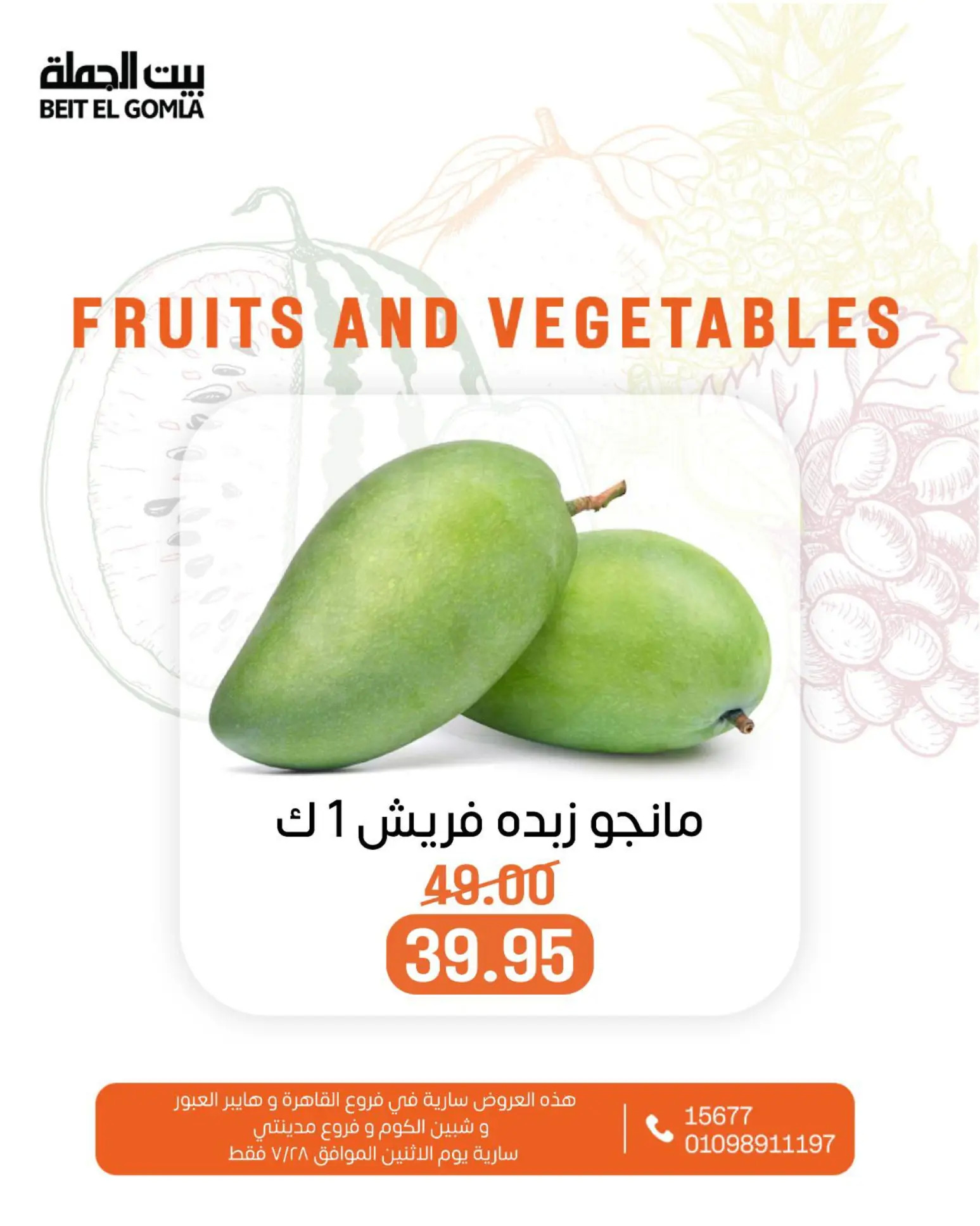 عروض بيت الجملة اليوم الإثنين 28 يوليو 2025 الخضار والفاكهة