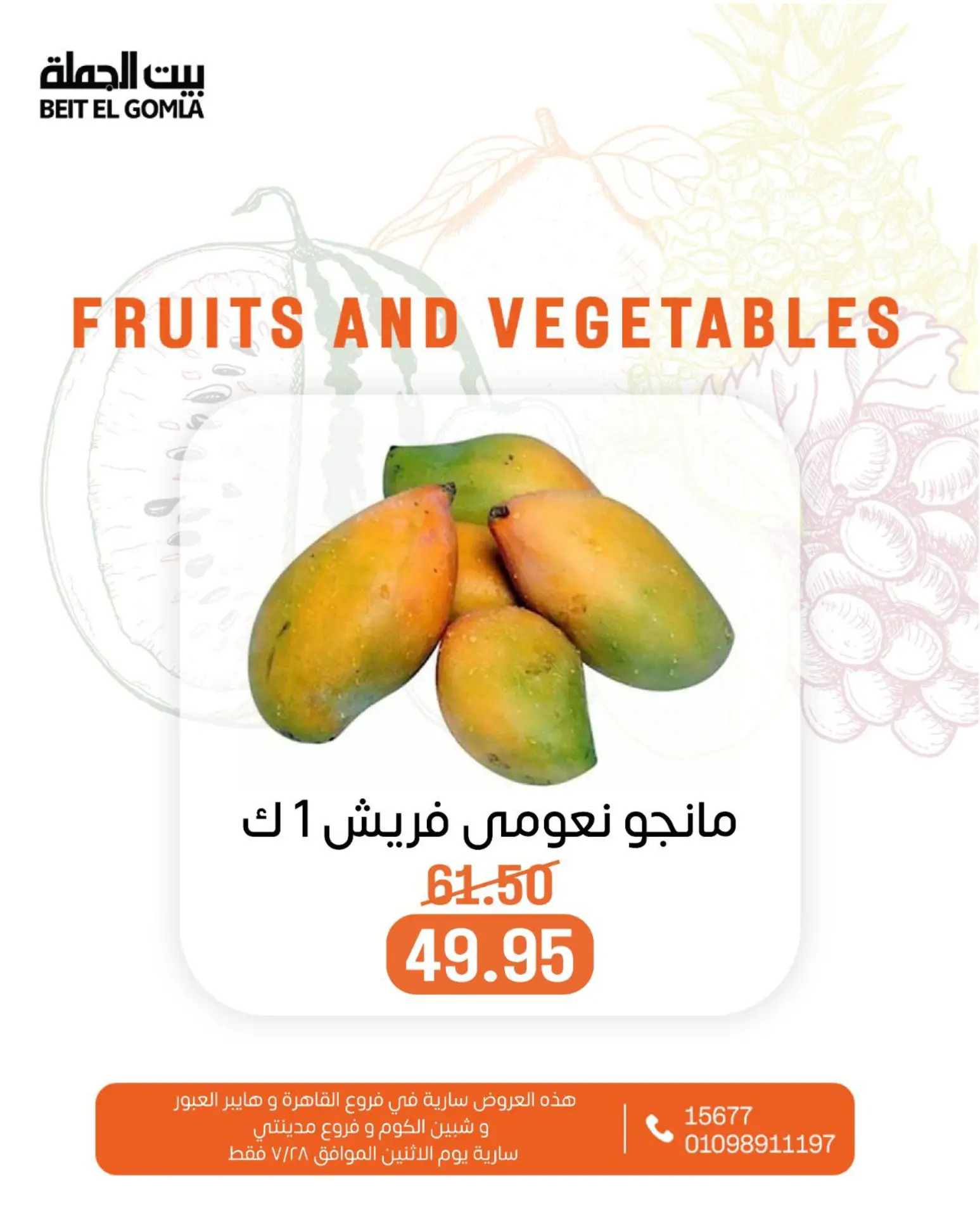 عروض بيت الجملة اليوم الإثنين 28 يوليو 2025 الخضار والفاكهة