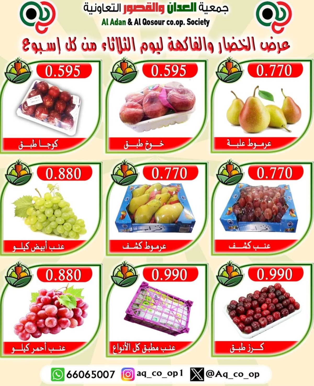عروض جمعية العدان والقصور الثلاثاء 29 يوليو 2025 الخضار والفاكهة