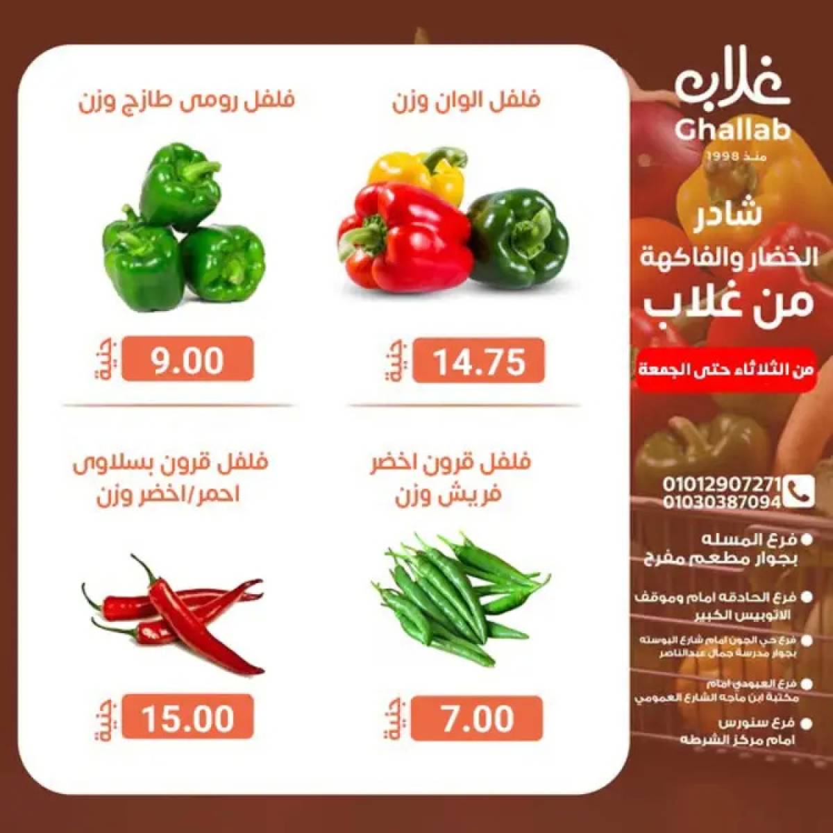 عروض أسواق غلاب الفيوم حتى 1 أغسطس 2025 عروض الفريش