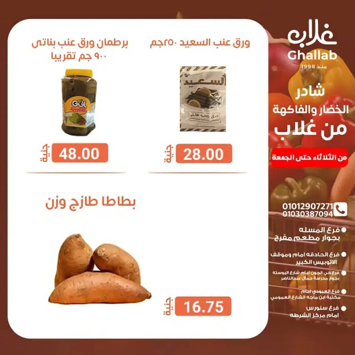 عروض أسواق غلاب الفيوم حتى 1 أغسطس 2025 عروض الفريش