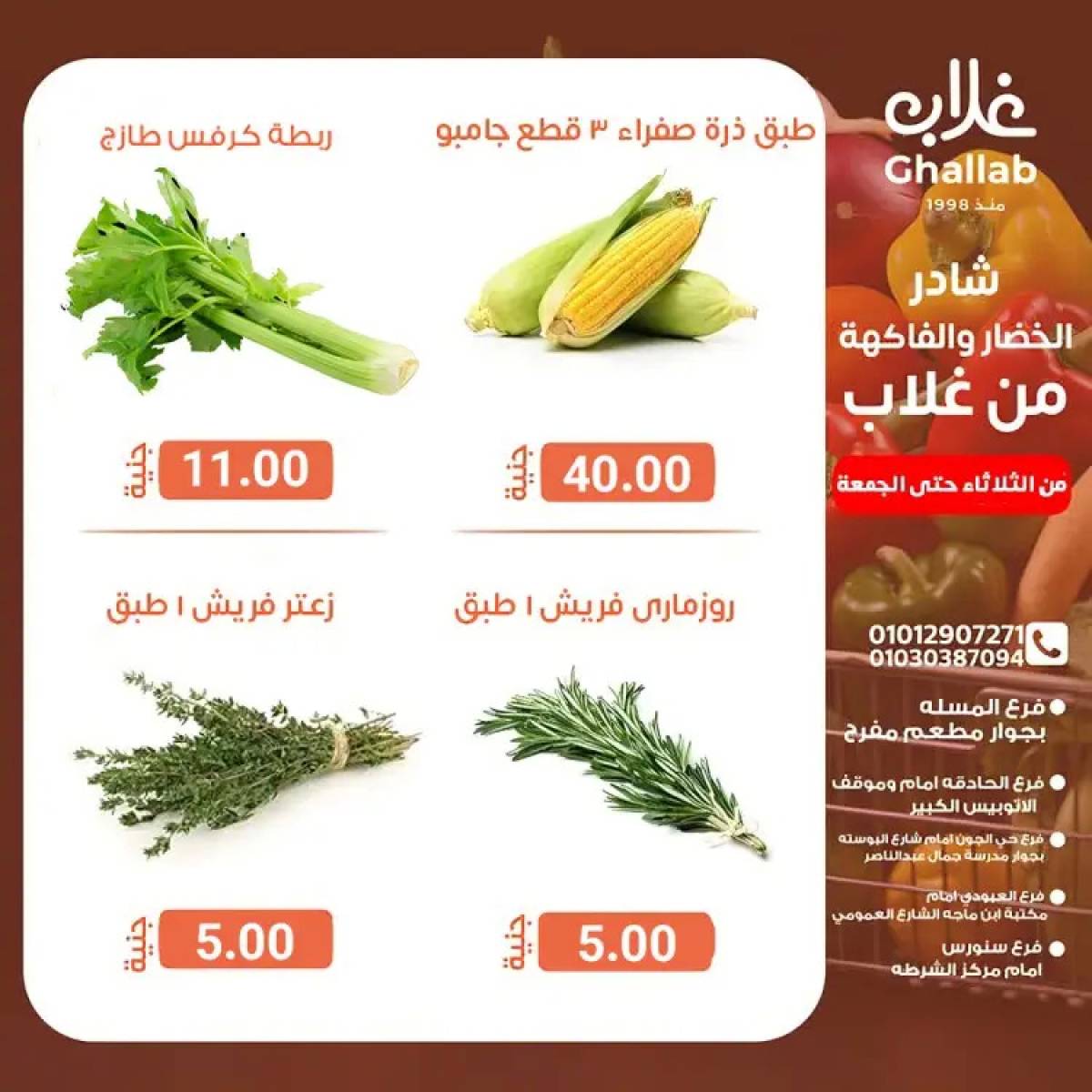 عروض أسواق غلاب الفيوم حتى 1 أغسطس 2025 عروض الفريش