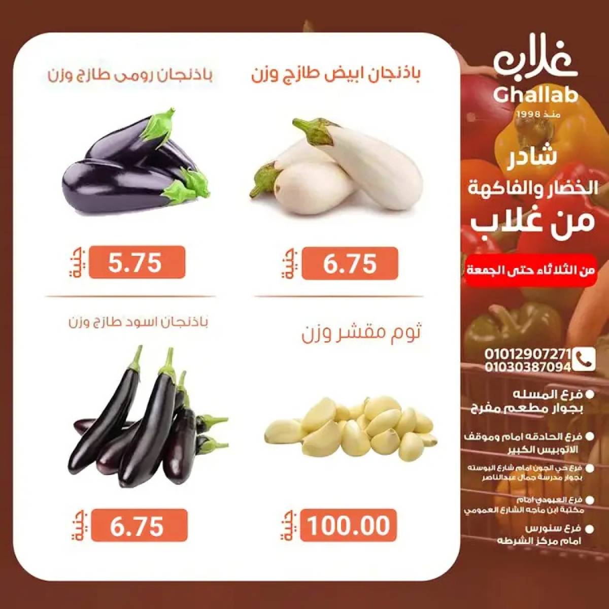 عروض أسواق غلاب الفيوم حتى 1 أغسطس 2025 عروض الفريش