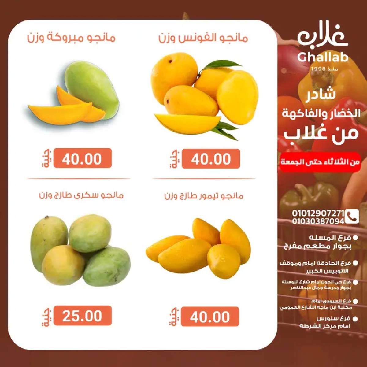 عروض أسواق غلاب الفيوم حتى 1 أغسطس 2025 عروض الفريش