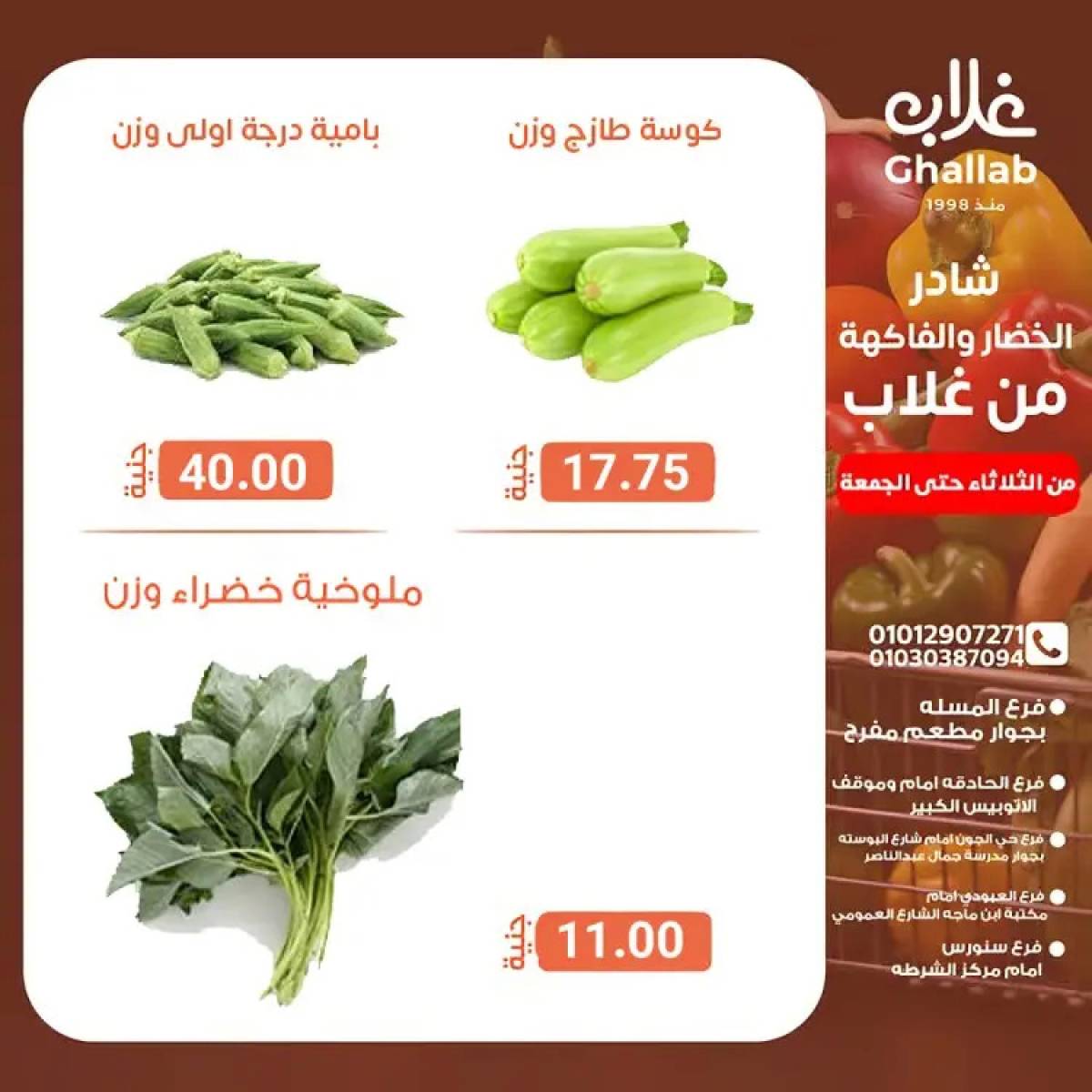 عروض أسواق غلاب الفيوم حتى 1 أغسطس 2025 عروض الفريش