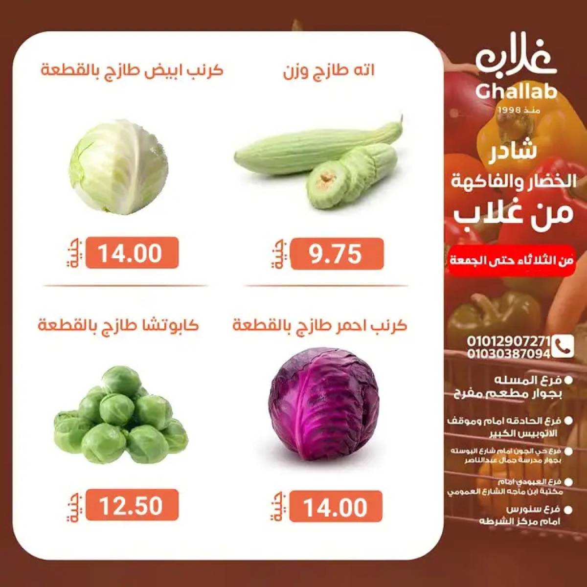 عروض أسواق غلاب الفيوم حتى 1 أغسطس 2025 عروض الفريش
