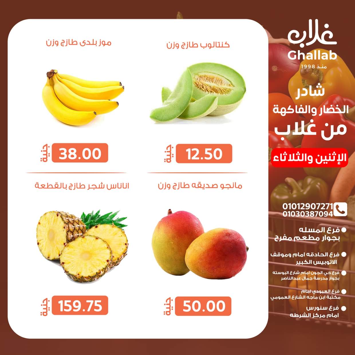 عروض أسواق غلاب الفيوم  من 16 حتى 17 يونيو 2025 عروض الفريش