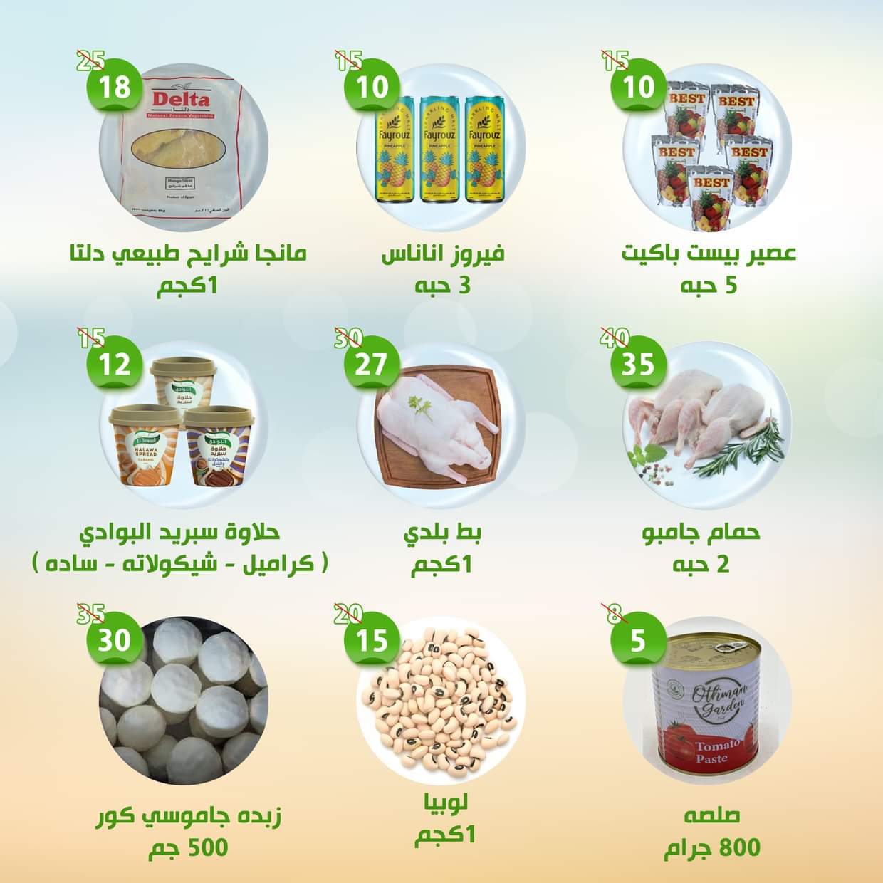 عروض النهضة المصرية أبوظبى  من 20 حتى 26 يونيو 2025 العروض الأسبوعية