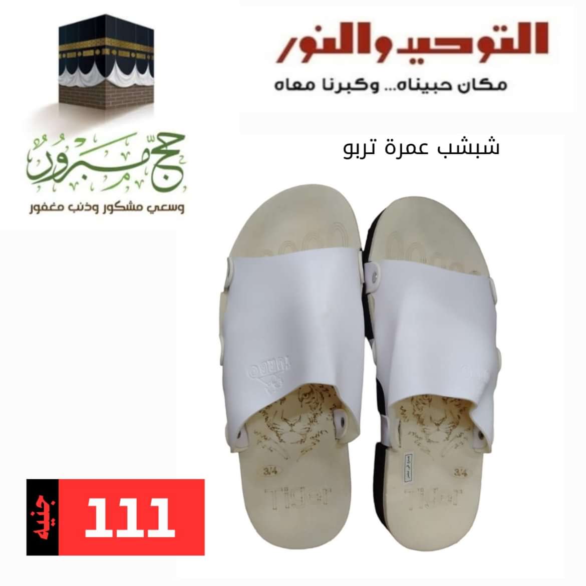 عروض التوحيد والنور من 26 مايو 2024 حج مبرور