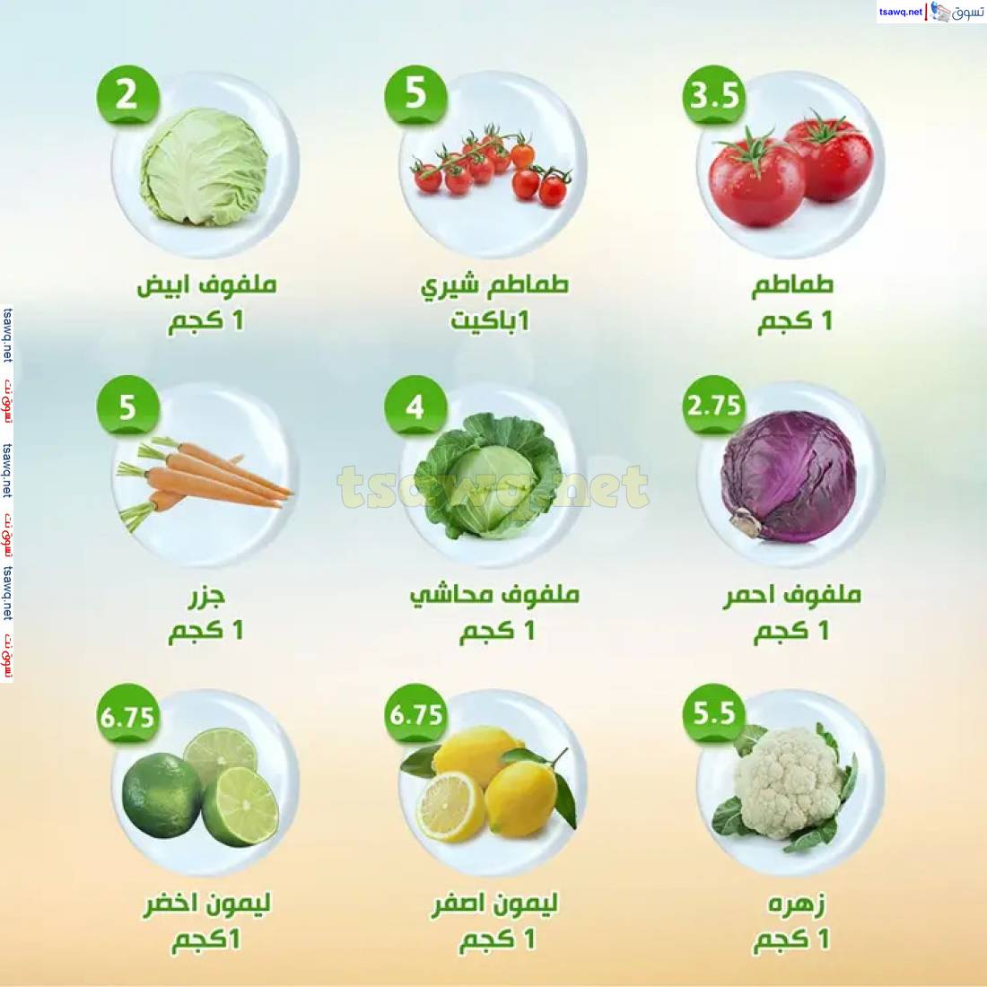 عروض النهضة المصرية أبوظبى حتى 29 مايو 2025 العروض الأسبوعية