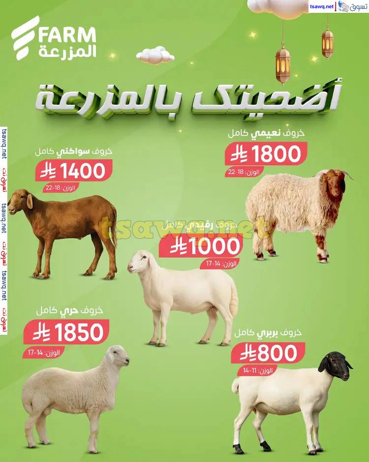 عروض أسواق المزرعة السعودية من 26 مايو حتى 3 يونيو 2025 أضاحى العيد