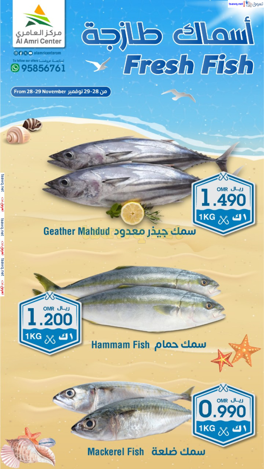 عروض مركز العامرى عمان من 28 حتى 29 نوفمبر 2024 أسماك طازجة