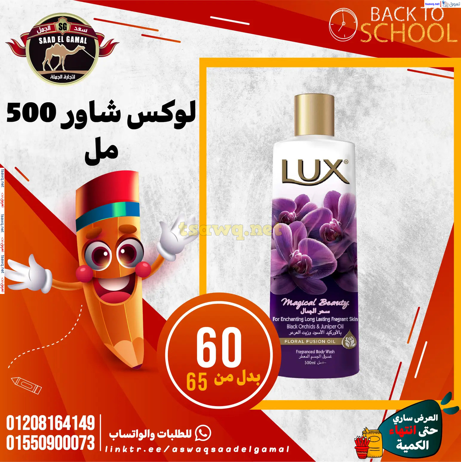 عروض أسواق سعد الجمل الأسكندرية من 12سبتمبر 2024 العودة إلى المدرسة