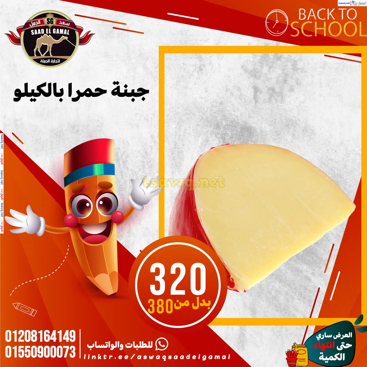 عروض أسواق سعد الجمل الأسكندرية من 12سبتمبر 2024 العودة إلى المدرسة