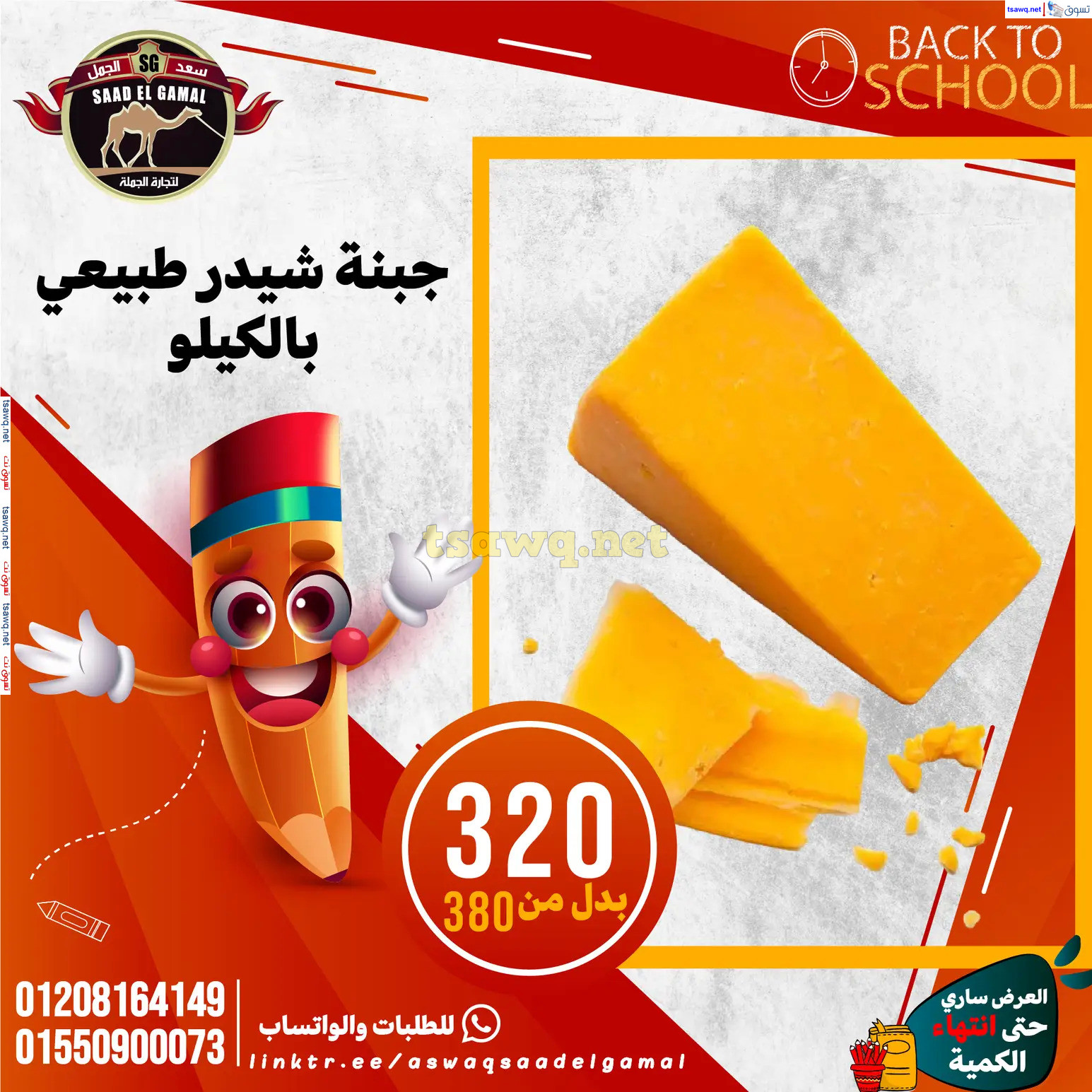 عروض أسواق سعد الجمل الأسكندرية من 12سبتمبر 2024 العودة إلى المدرسة