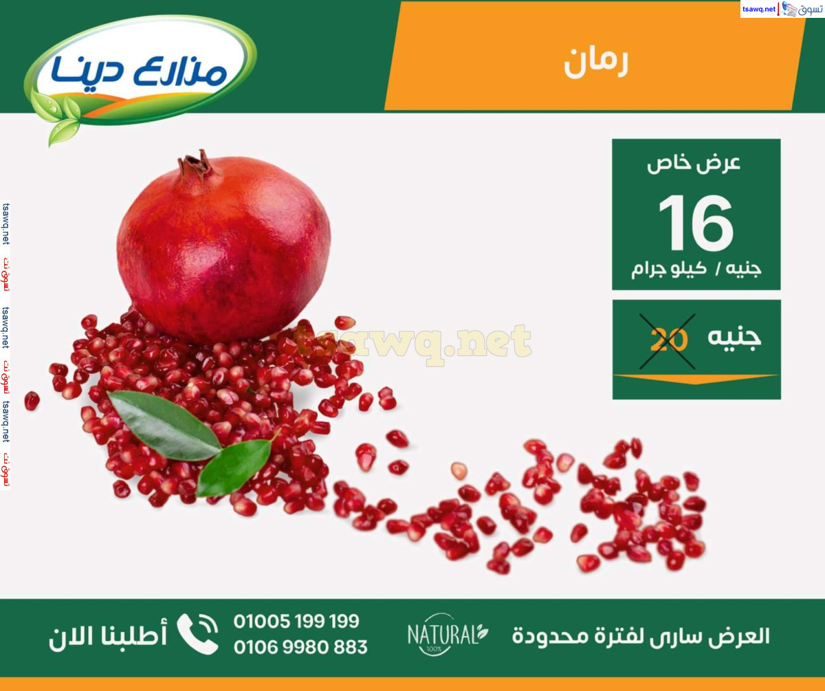 عروض مزارع دينا الصحراوى من 26 سبتمبر 2024 عروض خاصة