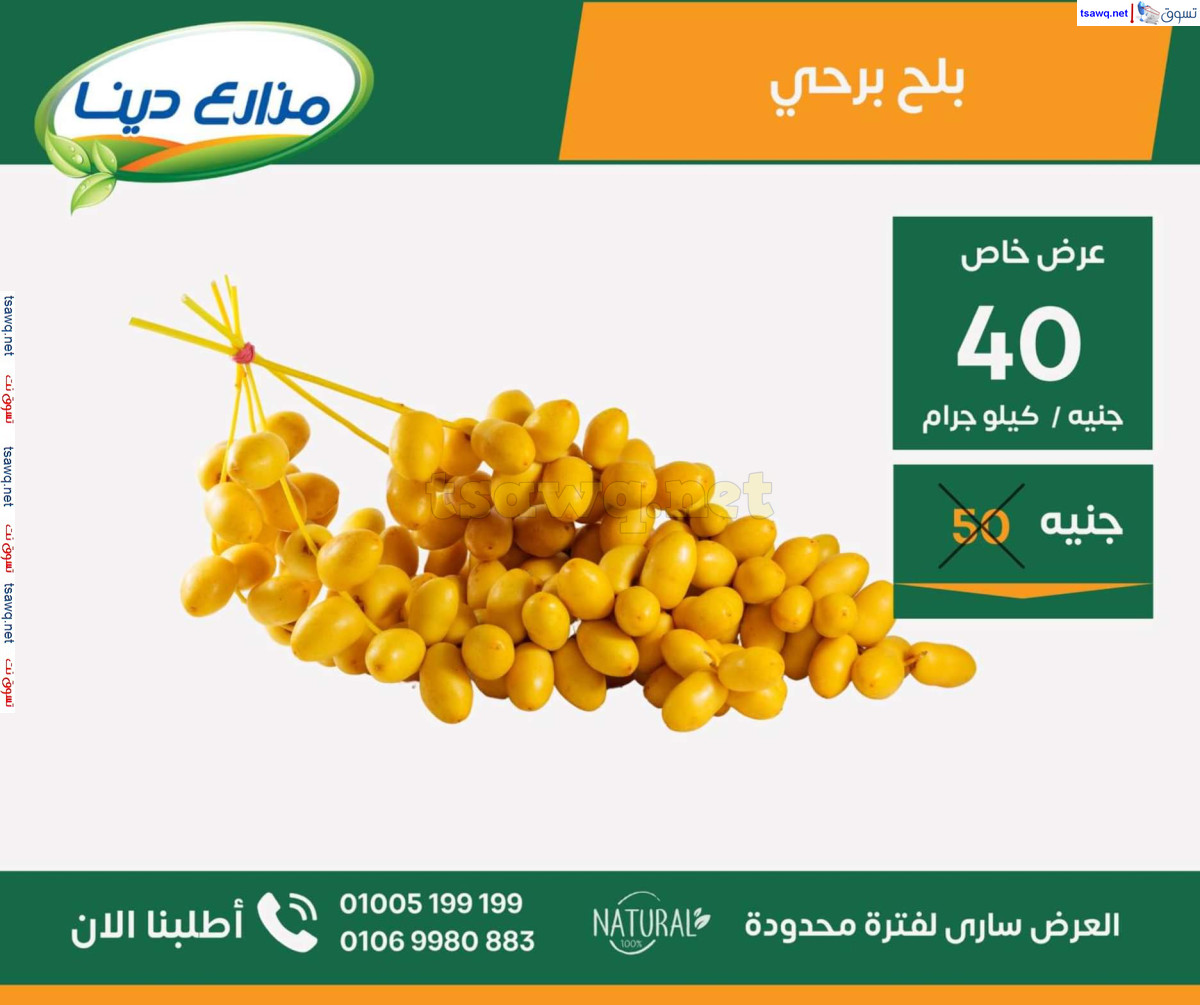 عروض مزارع دينا الصحراوى من 26 سبتمبر 2024 عروض خاصة
