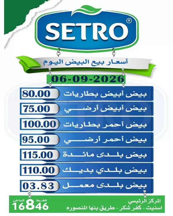 أسعار بيع البيض اليوم الأحد 6 سبتمبر 2026 في سيترو