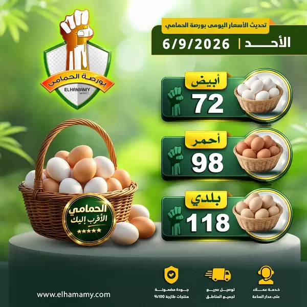 أسعار بيع البيض اليوم الأحد 6 سبتمبر 2026 في شركة الحمامي للتجارة