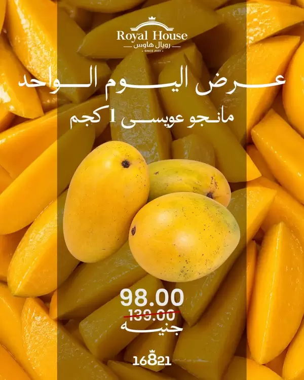 عرض رويال هاوس اليوم الثلاثاء 8 سبتمبر 2026 عرض اليوم الواحد