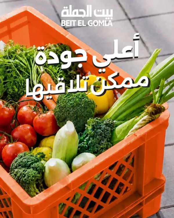 عروض بيت الجملة من 14 حتى 16 سبتمبر 2026 الطعام الطازج